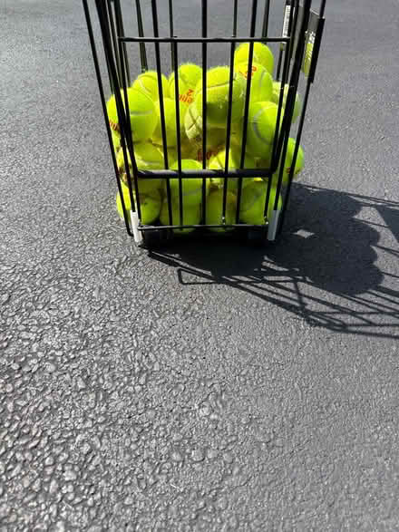 Photo of free Old tennis balls (North Barrington) #1