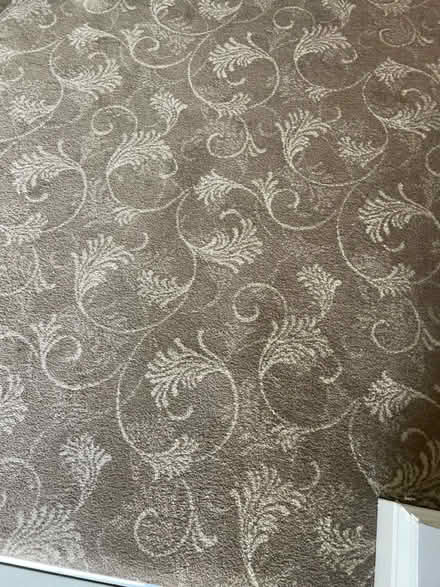 Photo of free Luxury Carpet, underlay & grippers (UB6) #1
