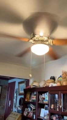 Photo of free Overhead brown 52" dia. fan/light (Riverdale (north of Inwood)) #1