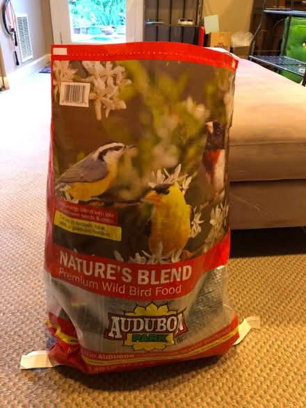 Photo of free Pinecones (Bethesda- River Rd & Wilson Ln) #3