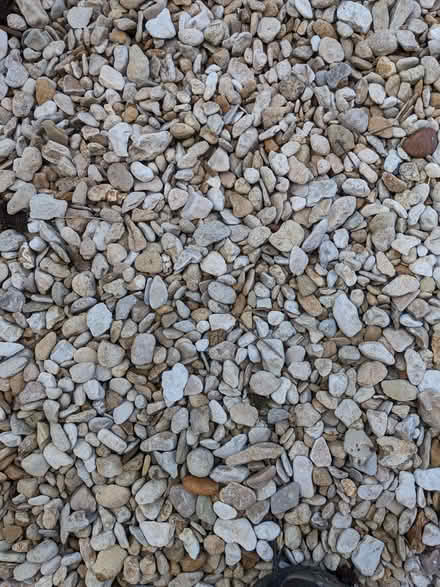 Photo of free Golden gravel (Hazlemere HP15) #1