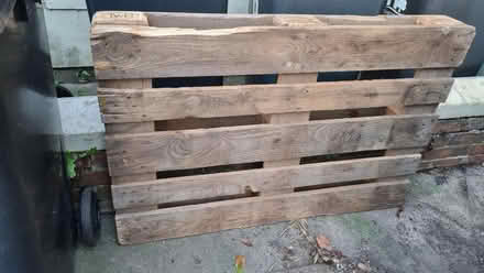 Photo of free Wooden Pallet (CT5) #1