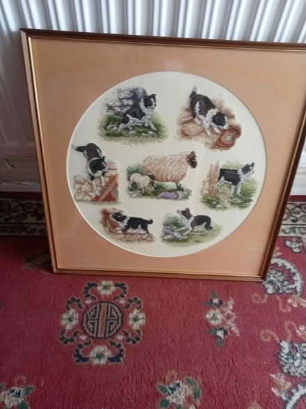 Photo of free Border Collie X-Stitch Picture (Lower Broadheath, WR2) #1