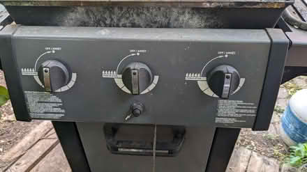 Photo of free BBQ (Weston) #3