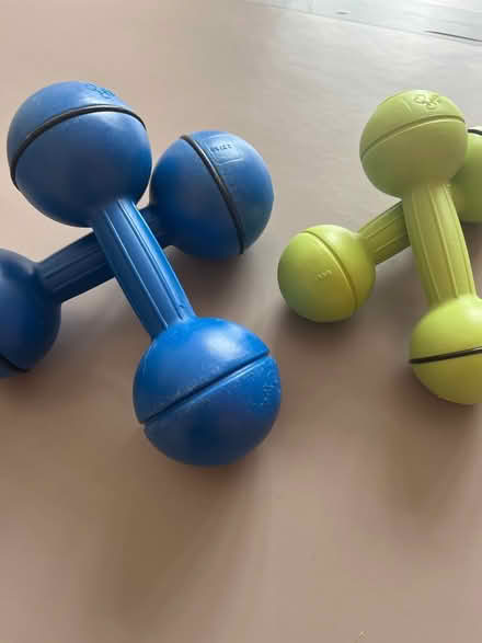 Photo of free Exercise weights (Fetcham) #1