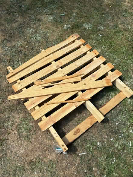 Photo of free Pallet (Old town SG1) #1