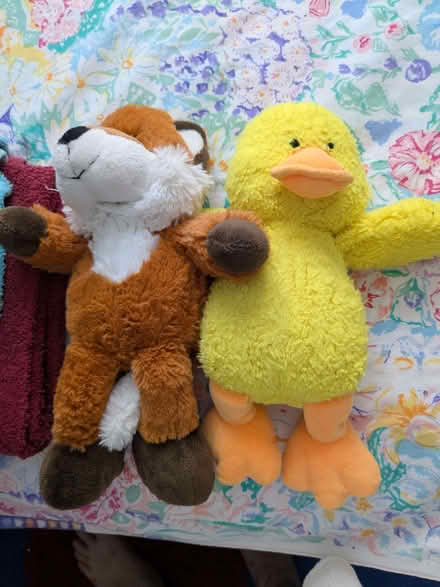 Photo of free Two small soft animals (Cam GL11) #1