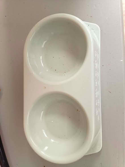 Photo of free double dish cat feeding tray (Brookhouse LA2) #1