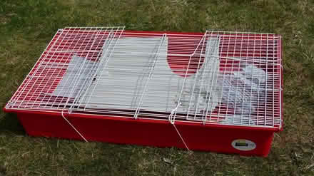 Photo of free Animal cage Indoor/Outdoor (Gunton NR32) #1