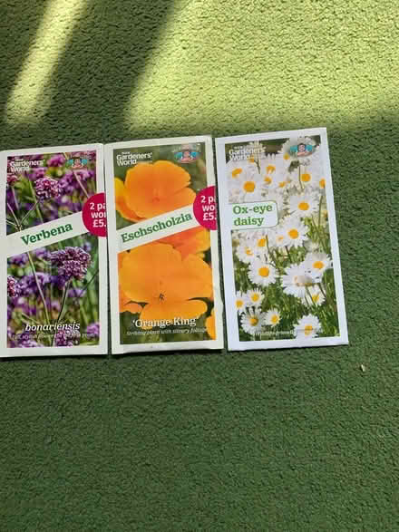 Photo of free Flower seeds (Tunbridge Wells S. TN2) #1