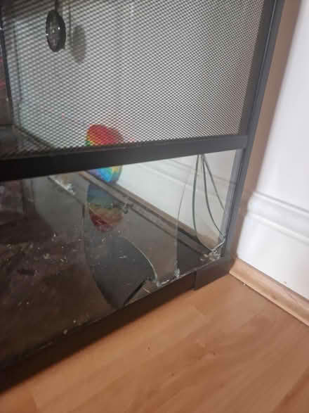Photo of free 4ft Komodo Snake Viv (Sherburn in Elmet LS25) #1