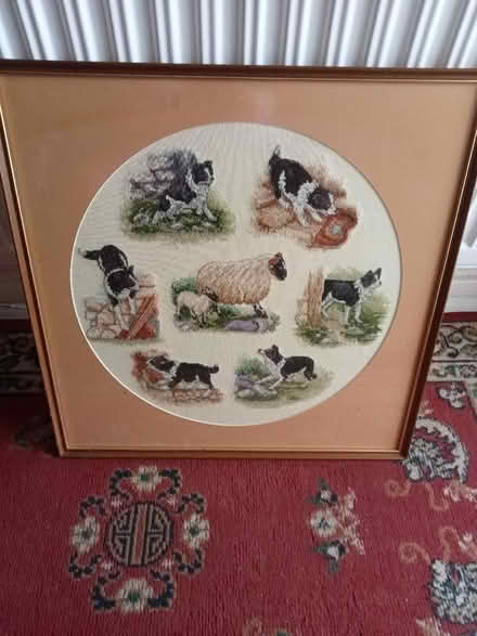 Photo of free Border Collie X-Stitch Picture (Lower Broadheath WR2) #1