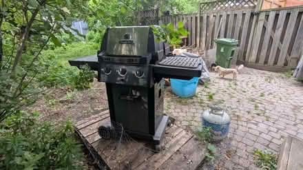 Photo of free BBQ (Weston) #1