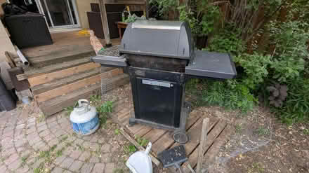 Photo of free BBQ (Weston) #4
