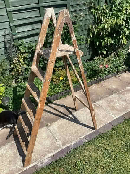 Photo of free Old wooden stepladder (Oswestry SY11) #1