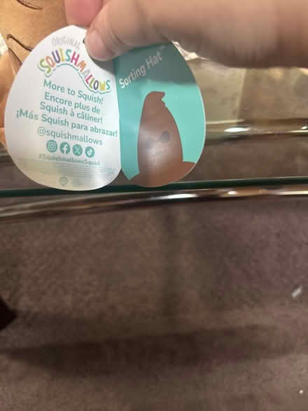 Photo of free Harry Potter Squishmallow (South Elgin) #3