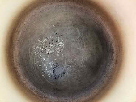 Photo of free Le Creuset casserole. (Stoke St Milborough SY8) #2