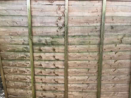 Photo of free Lap fence panel 6’x5’ (SY4 Bomere Heath) #1