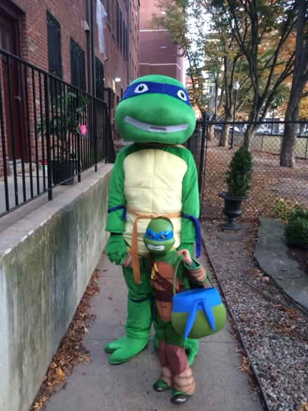Photo of free Adult Ninja Turtle Costume (South end) #1