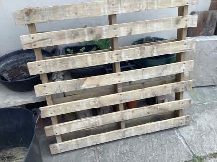 Photo of free Wooden pallet (sidlesham) #1