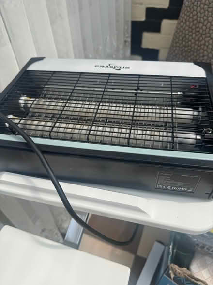 Photo of free Fly catcher (East dulwich SE22) #4