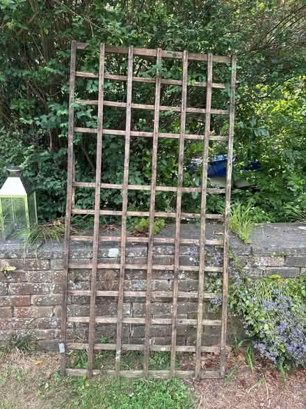 Photo of free Wooden frame planter (Twickenham TW1) #1