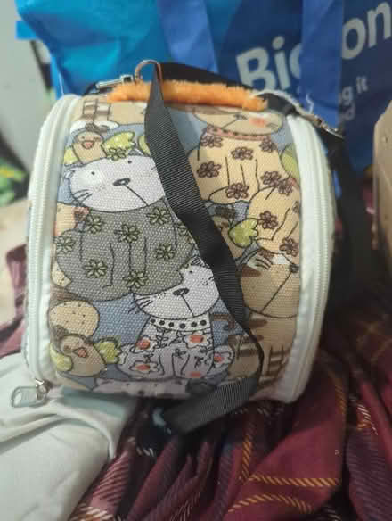 Photo of free Small animal carrier (Witham CM8) #2