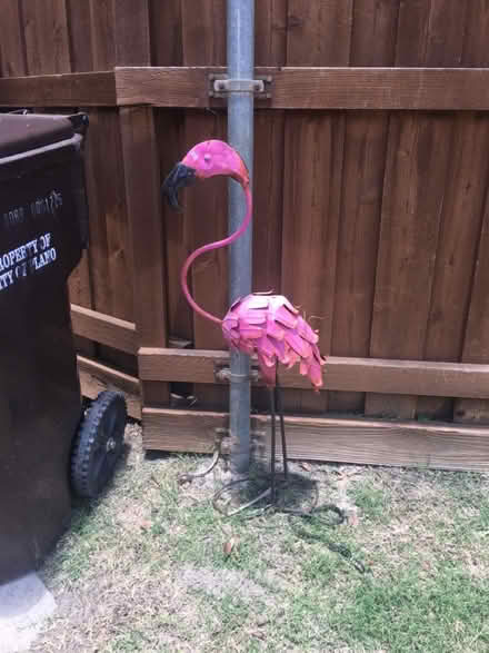 Photo of free Lawn Flamingo (metal) (Plano) #1