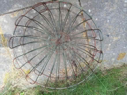 Photo of free Hanging baskets (Chichester Graylingwell PO19) #1