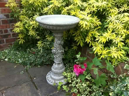 Photo of Garden Decor (Sherborne) #3