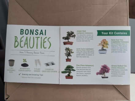 Photo of free Bonsai Beauties seed growing kit (Donnington Bridge OX4) #2