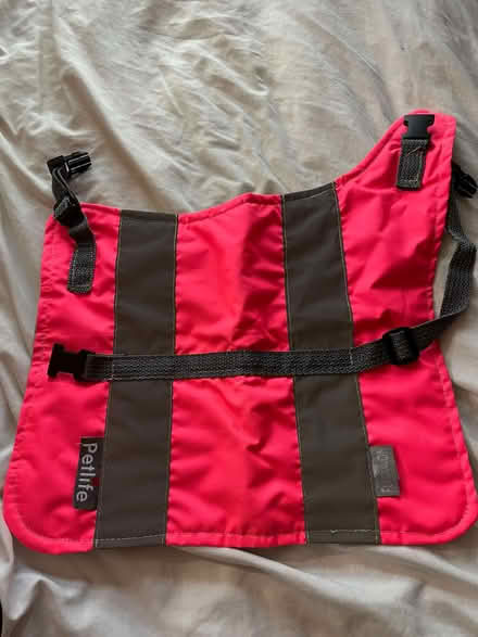 Photo of free Puppy, Small Dog clothing and a Harness (Gateacre L25) #3