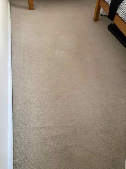 Photo of free bedroom carpets (TR13) #2