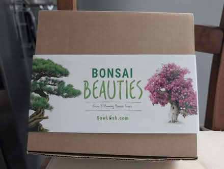 Photo of free Bonsai Beauties seed growing kit (Donnington Bridge OX4) #1