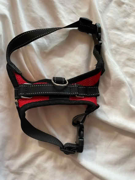 Photo of free Puppy, Small Dog clothing and a Harness (Gateacre L25) #4