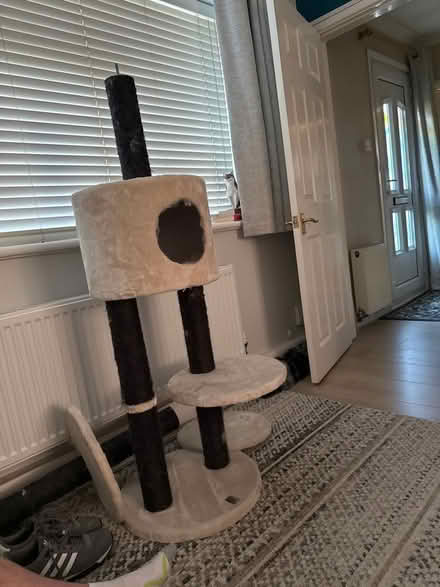 Photo of free Large cat scratching post (New Greens AL3) #1