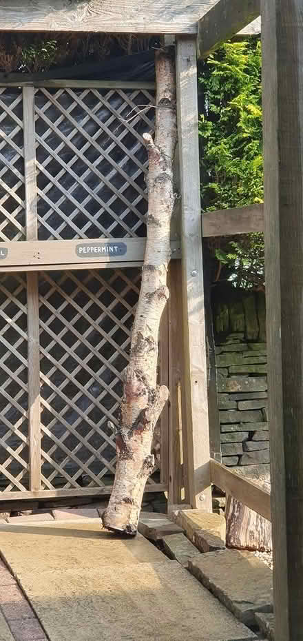 Photo of free Fire Wood - BD13 (Queensbury BD13 off Roper Lane) #2