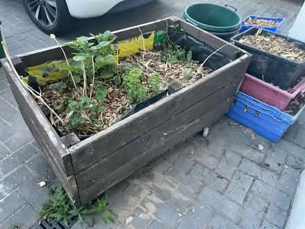 Photo of free Planter with soil/ plants (Merton SW20) #1