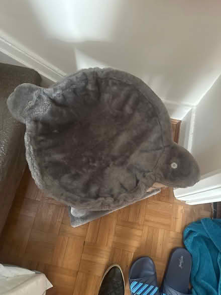 Photo of free Cat scratch pole and bed (West Kensington W14) #3