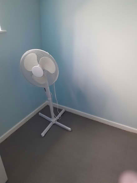 Photo of free Free Standing Fan (CT1) #2