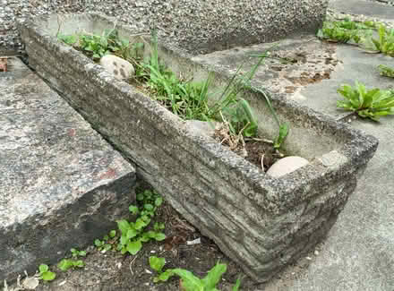 Photo of free Two Concrete Garden Planters (Huyton L36) #1