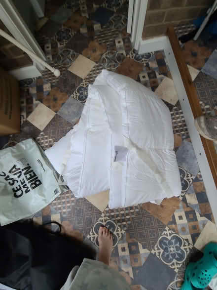 Photo of free Single Mattress topper (Martinstown DT2) #2