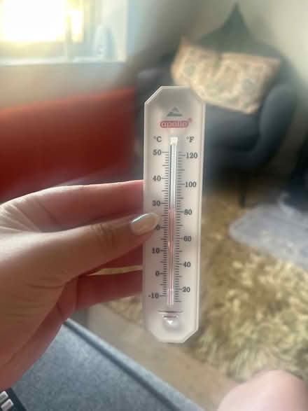 Photo of free Plastic thermometer (Park street st albans AL2) #1