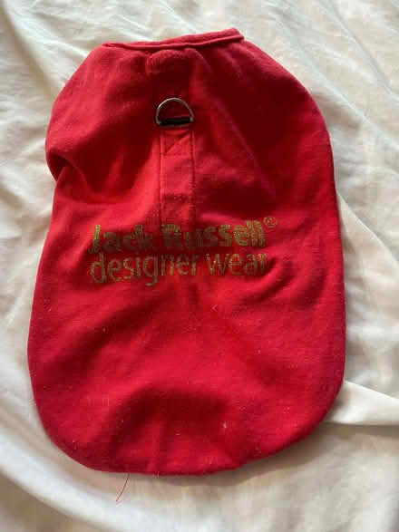 Photo of free Puppy, Small Dog clothing and a Harness (Gateacre L25) #2