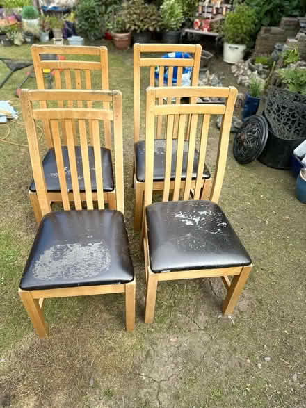 Photo of free 4 oak dining chairs (Colchester CO4) #2
