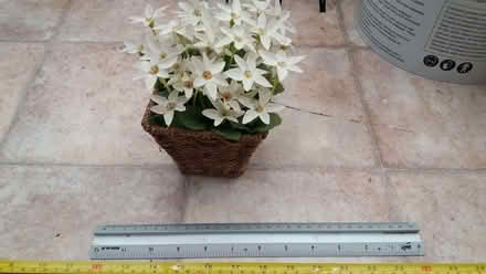 Photo of free ornament, fake flowers, 3 (Crosspool S10) #2