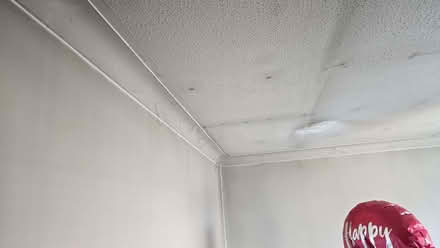 Photo of Decorating bits (Parkwood Rainham ME8) #4