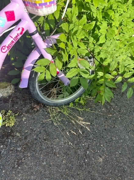 Photo of free Kids bike (TN1) #3