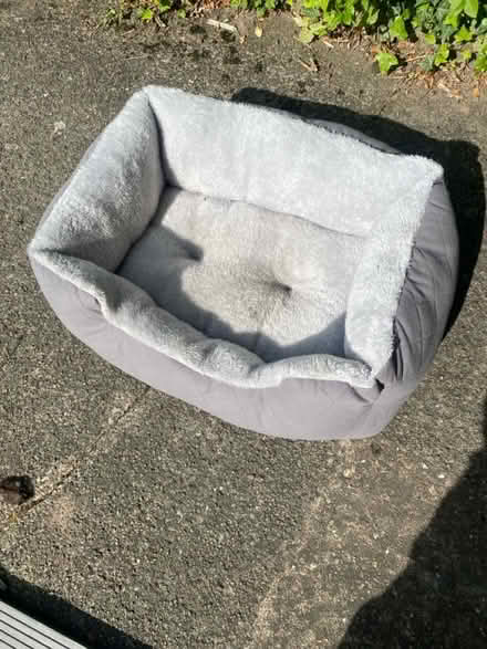Photo of free Small pet bed (Preston) #1