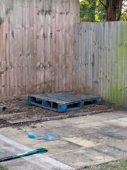 Photo of free Blue pallet (Belle vue Shrewsbury) #1